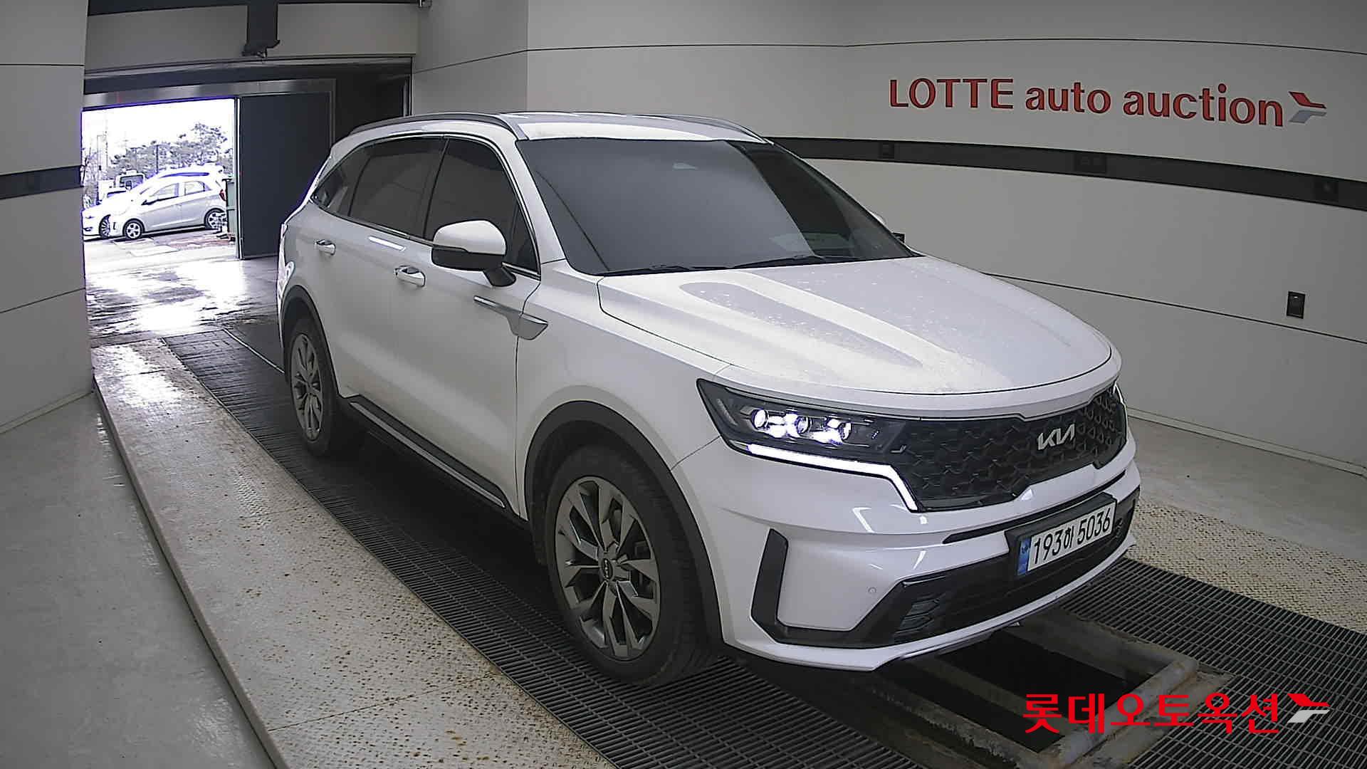 Kia Sorento 2022 Snow White Pearl (optional) из Кореи, фото 2