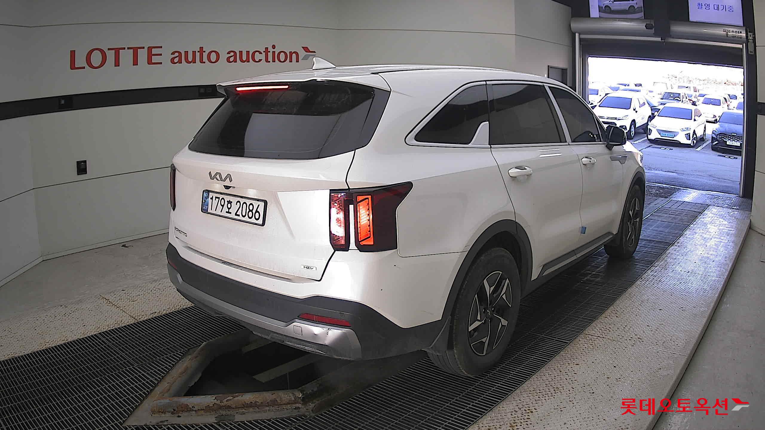 Kia Sorento Hybrid 2025 Snow White Pearl из Кореи, фото 4