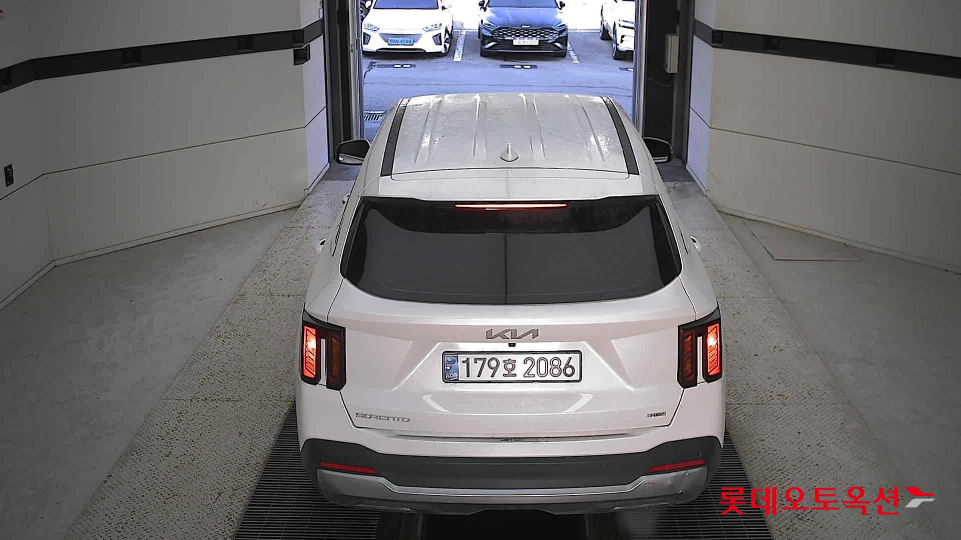 Kia Sorento Hybrid 2025 Snow White Pearl из Кореи, фото 5