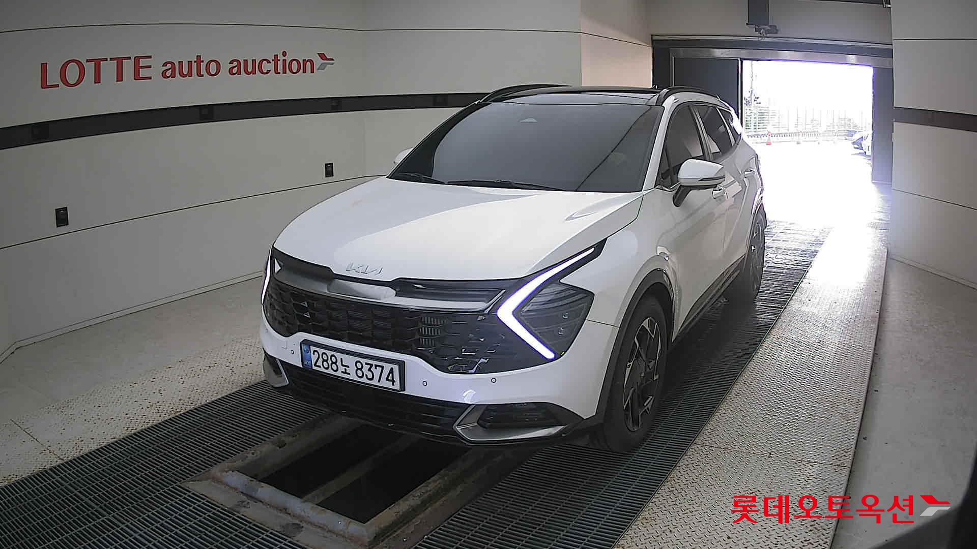 Kia Sportage 2022 Белый из Кореи