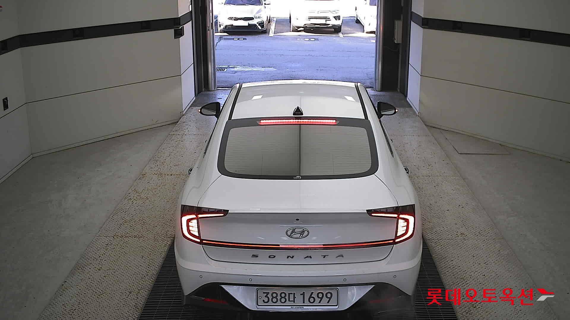 صورة إضافية