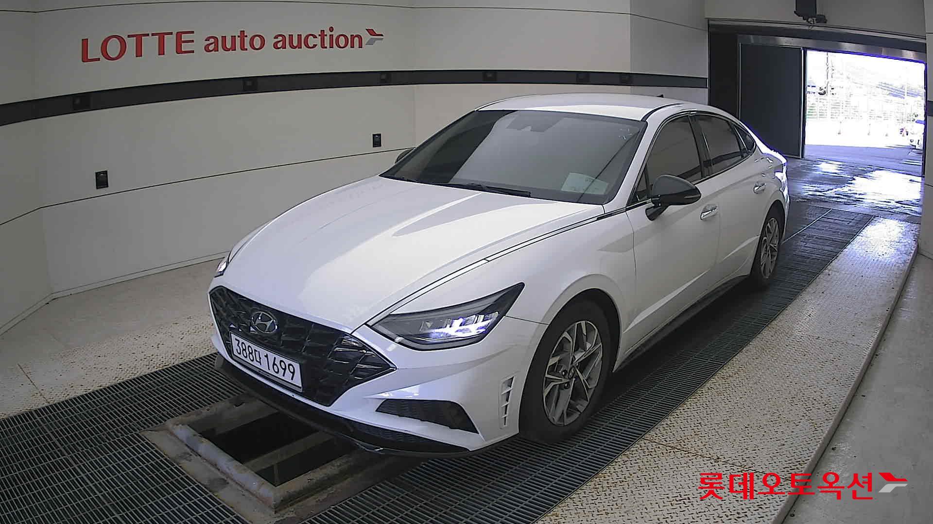 صورة إضافية