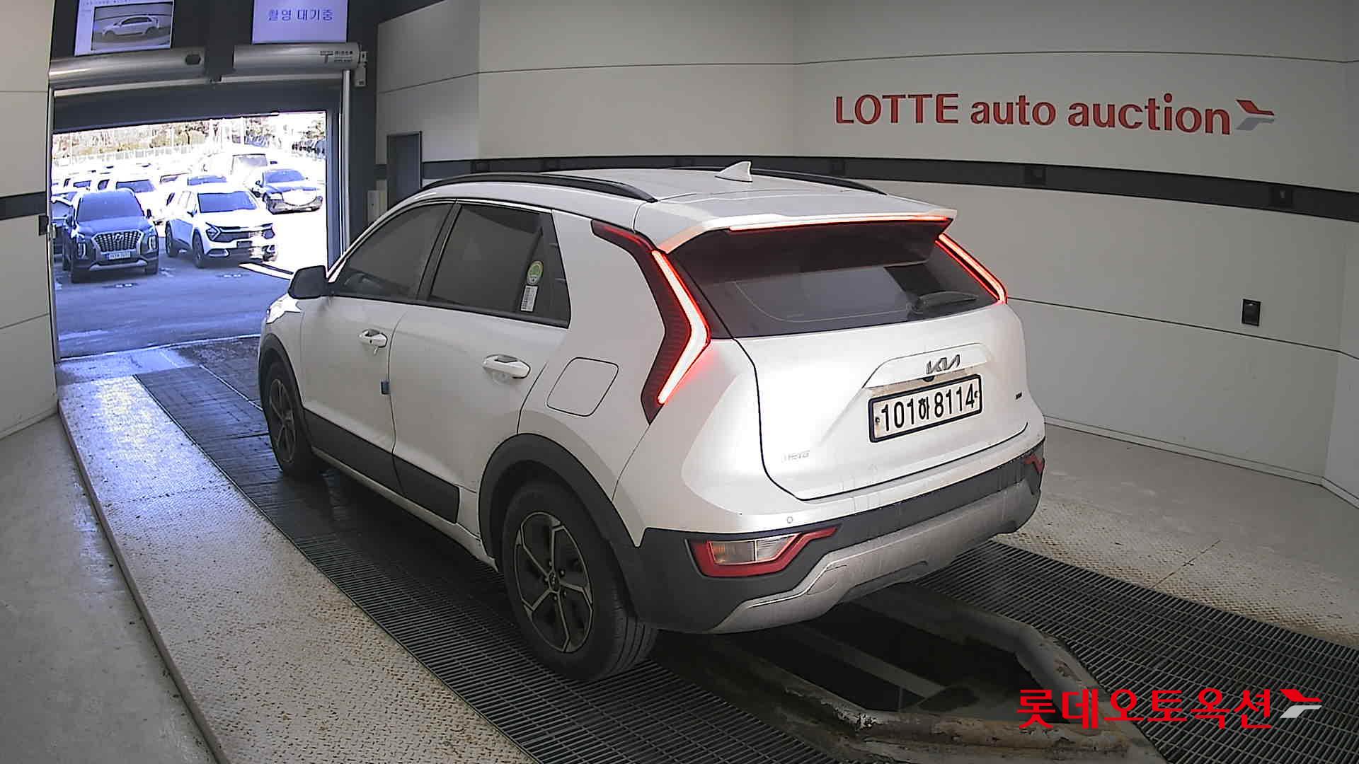 صورة إضافية