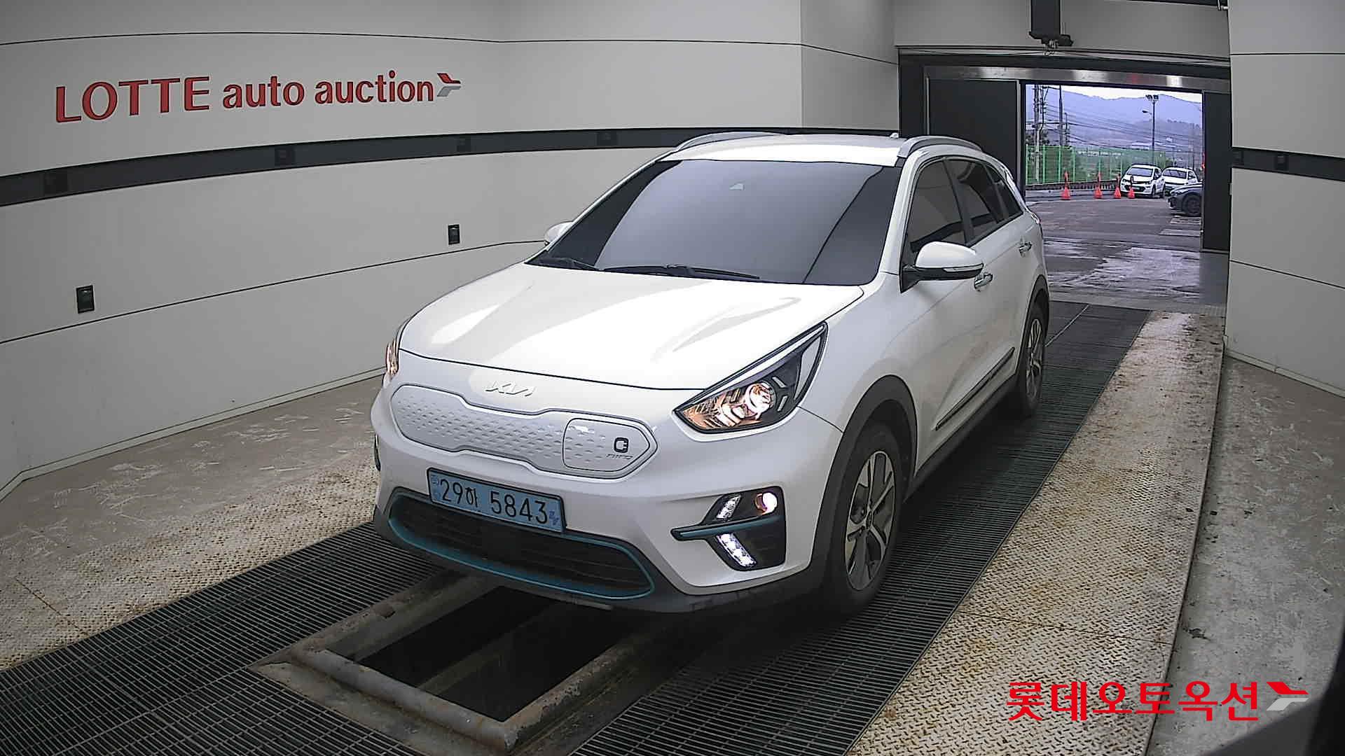 Kia Niro EV 2022 Snow White Pearl (optional) из Кореи