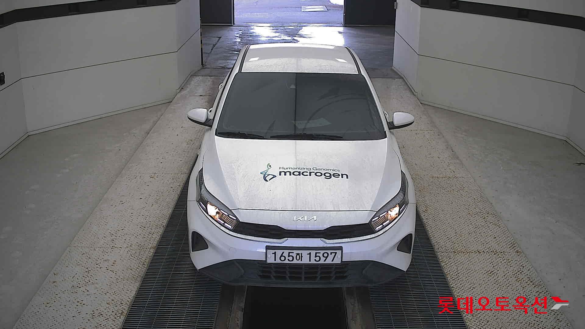 صورة إضافية