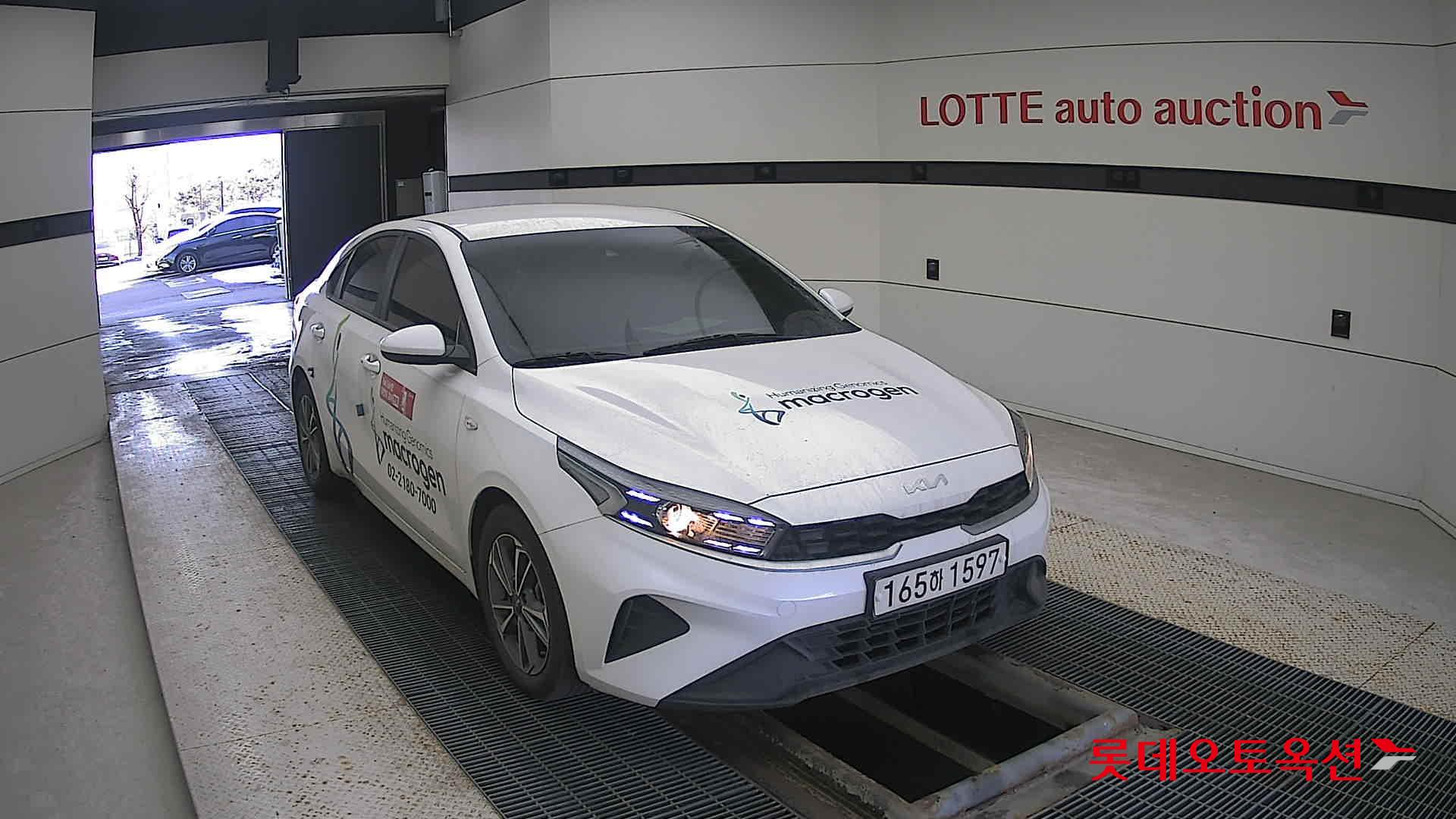 صورة إضافية