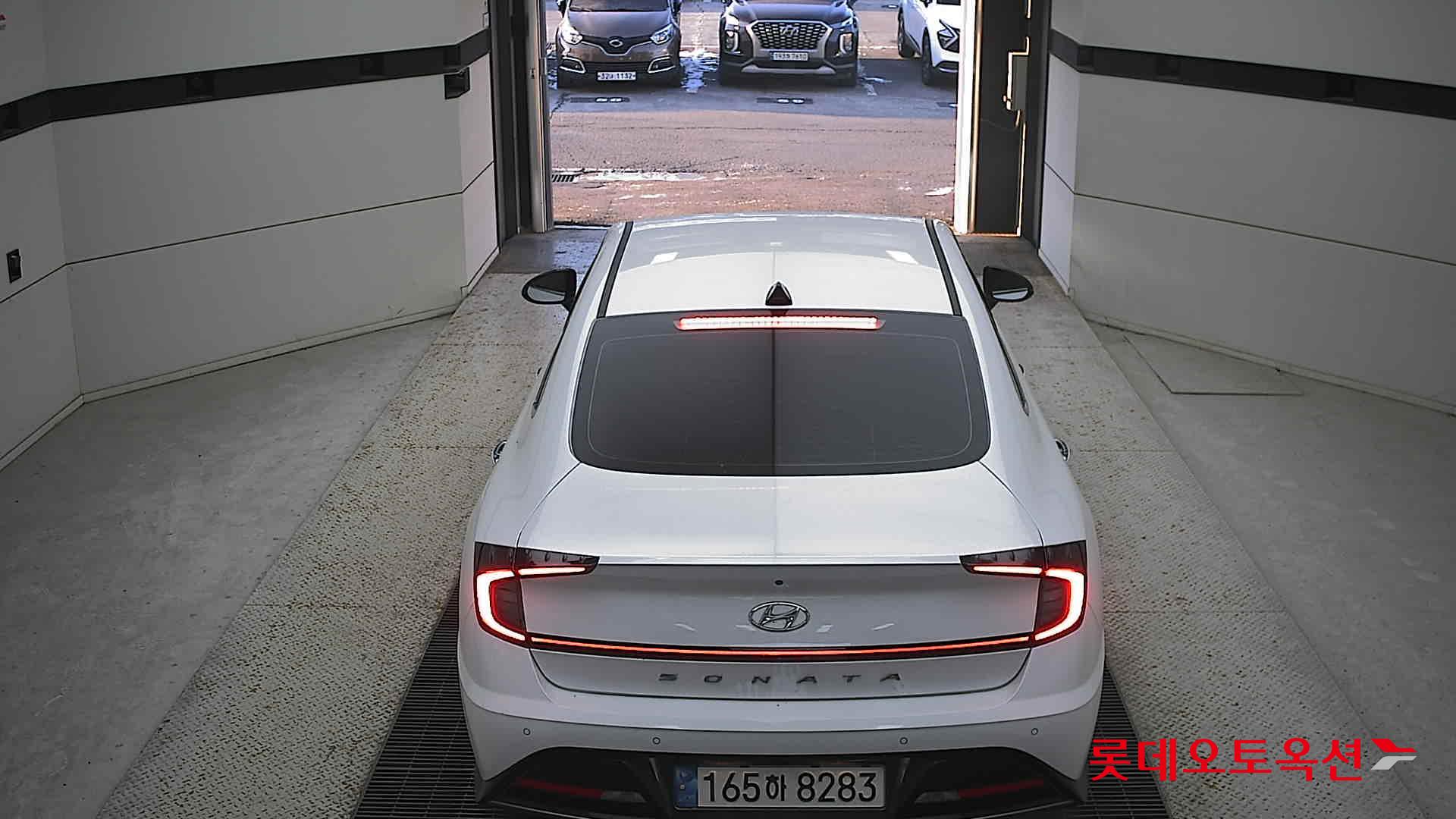 صورة إضافية