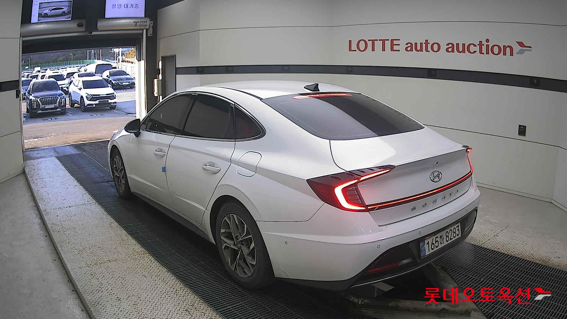 صورة إضافية