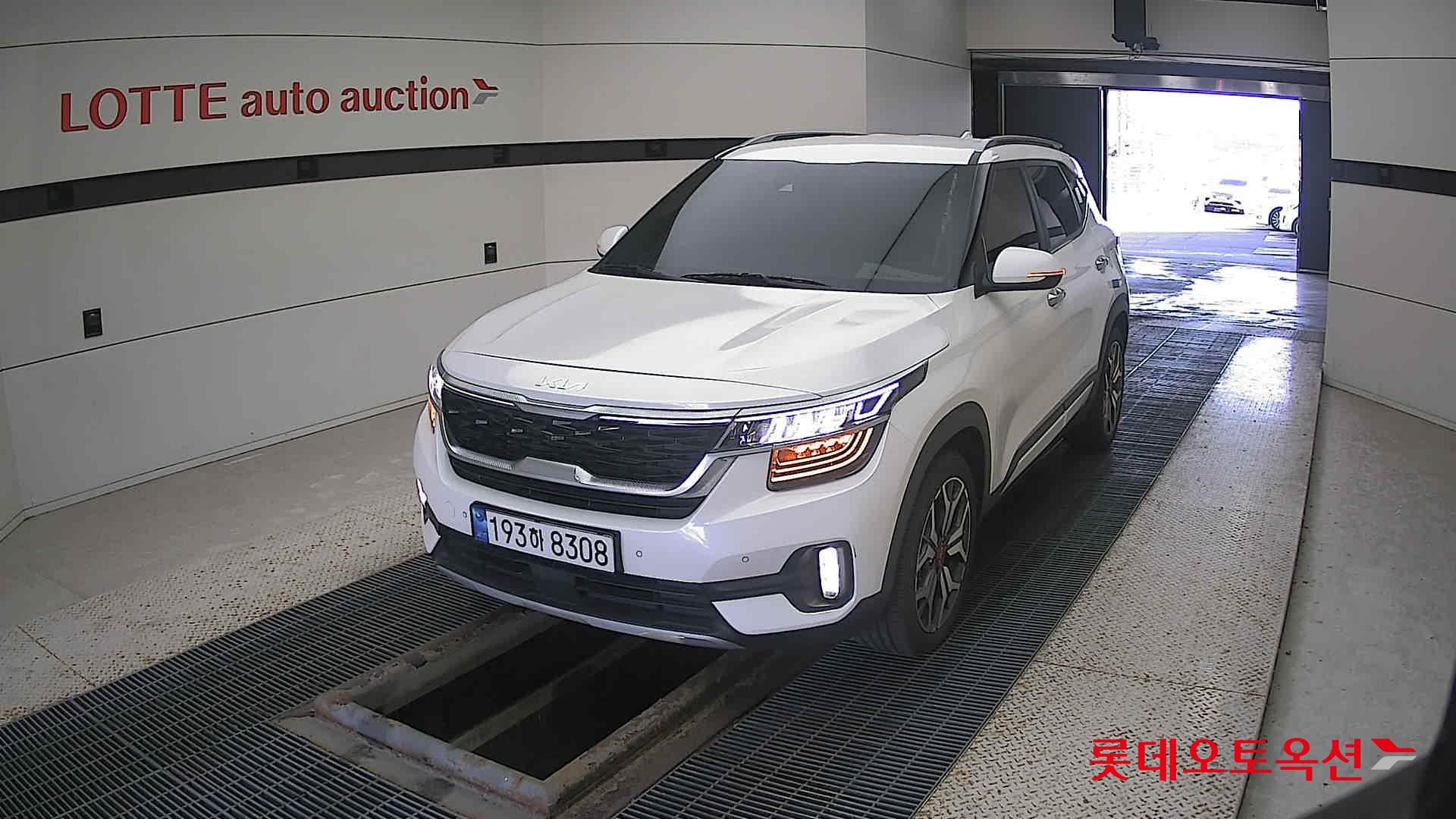 Kia Seltos 2023 Snow White Pearl из Кореи