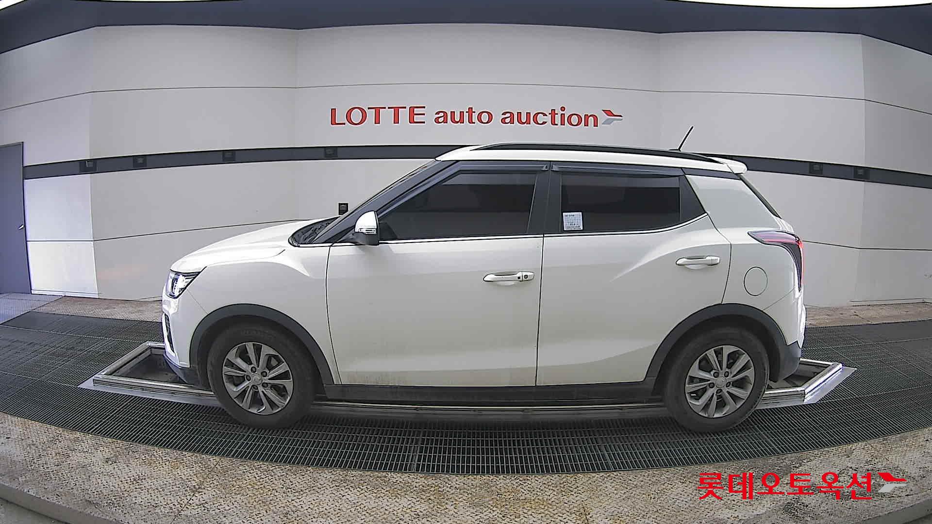 سانغ يونغ تيفولي