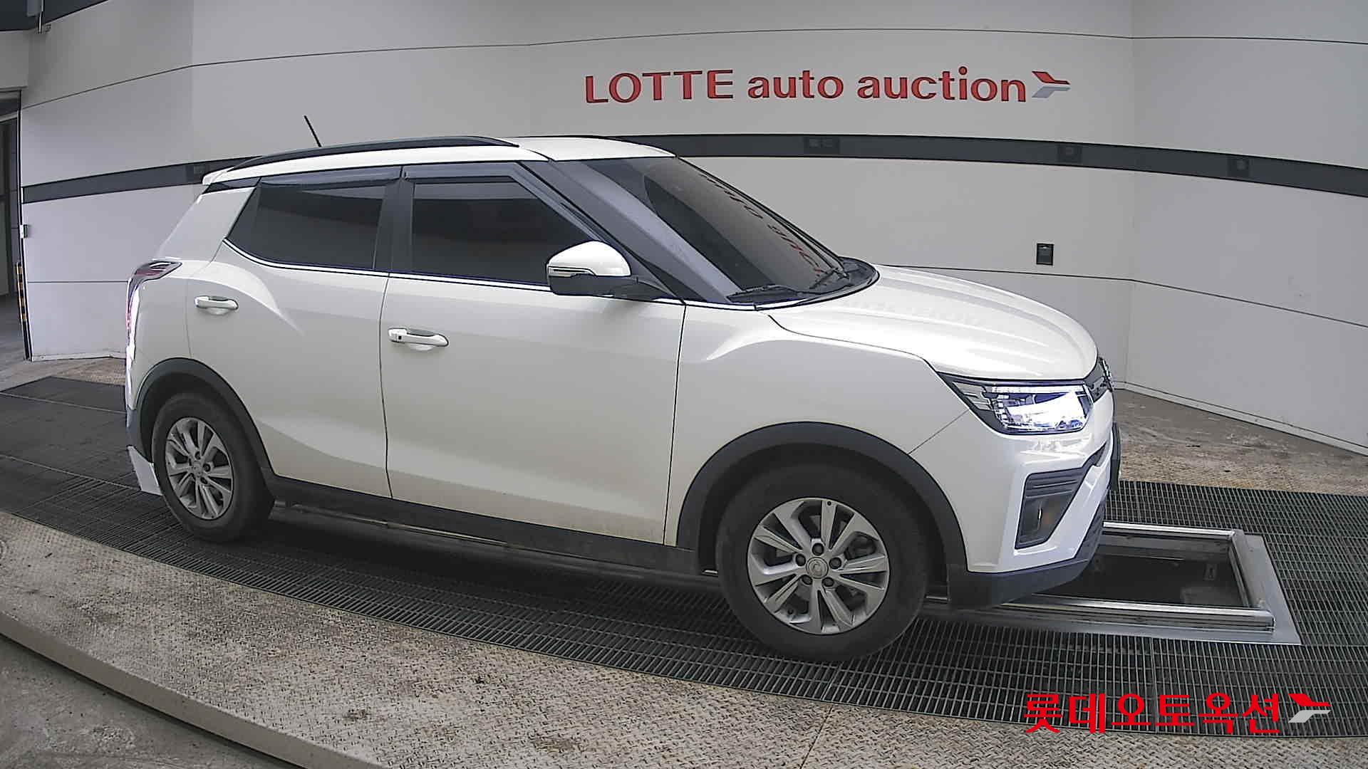 سانغ يونغ تيفولي