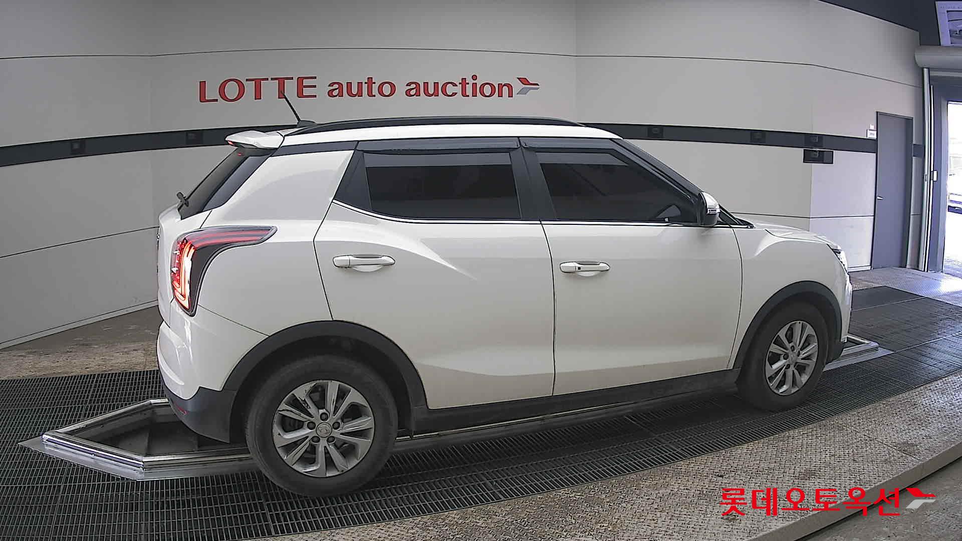 سانغ يونغ تيفولي