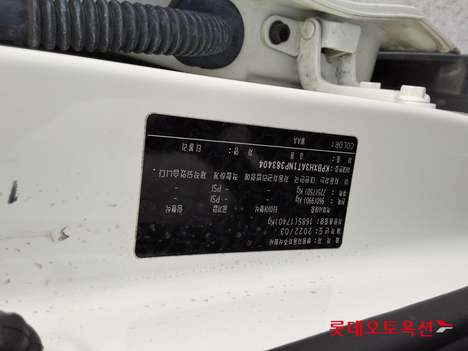 سانج يونج تيفولي 2022 - صورة 34