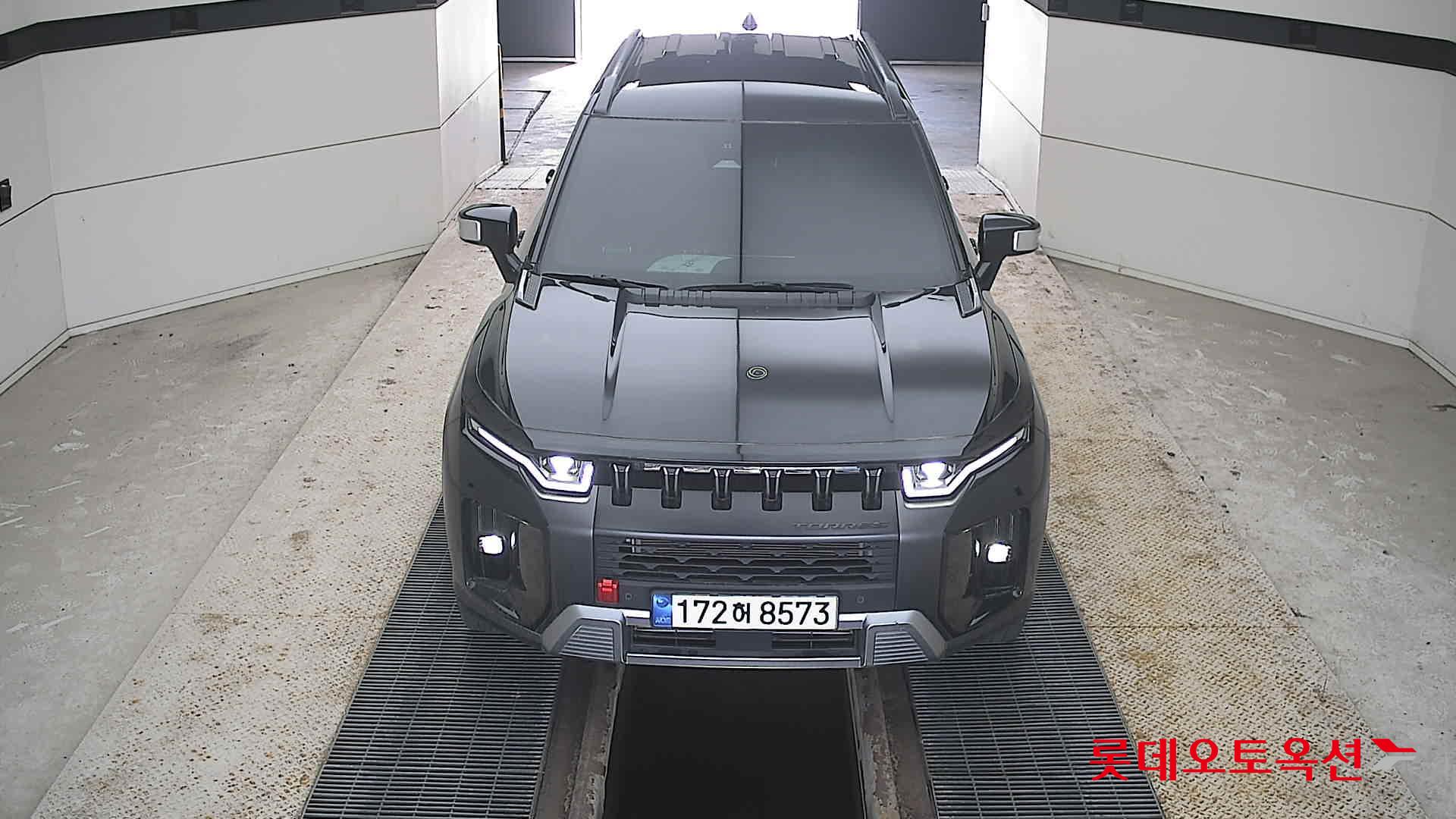 سانج يونج توريس