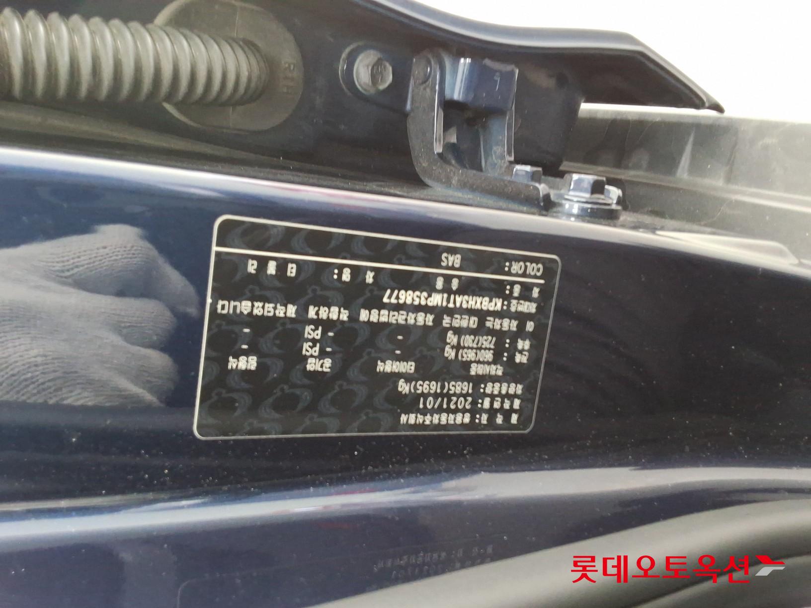 سانغ يونغ تيفولي