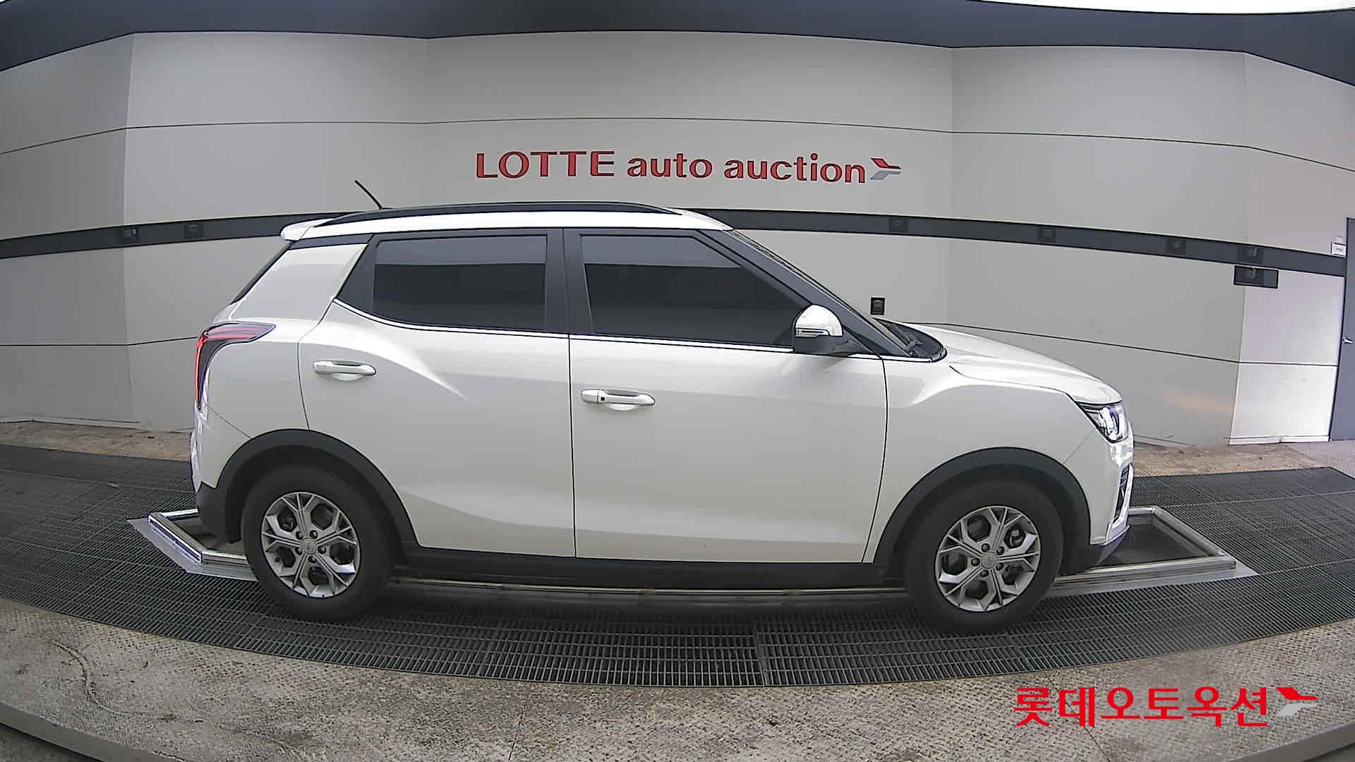 سانغ يونغ تيفولي