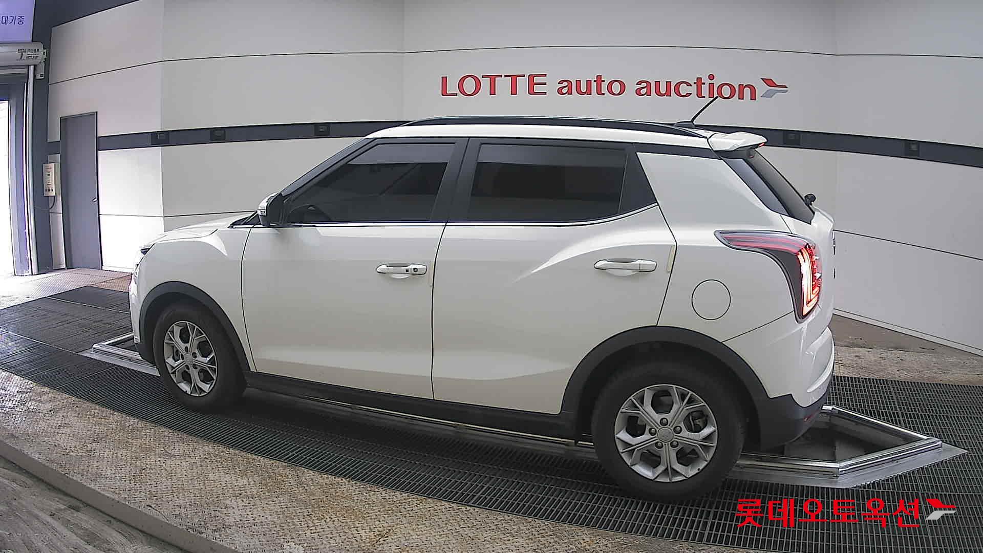 سانغ يونغ تيفولي