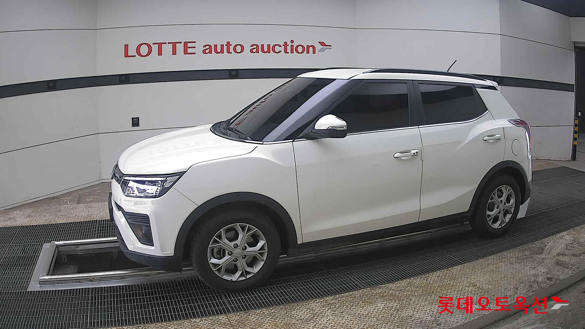 سانغ يونغ تيفولي