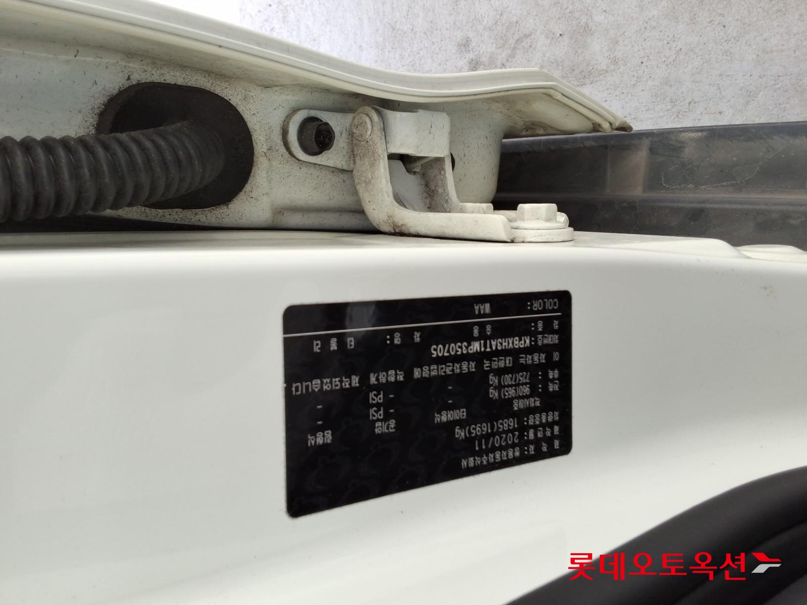 سانغ يونغ تيفولي