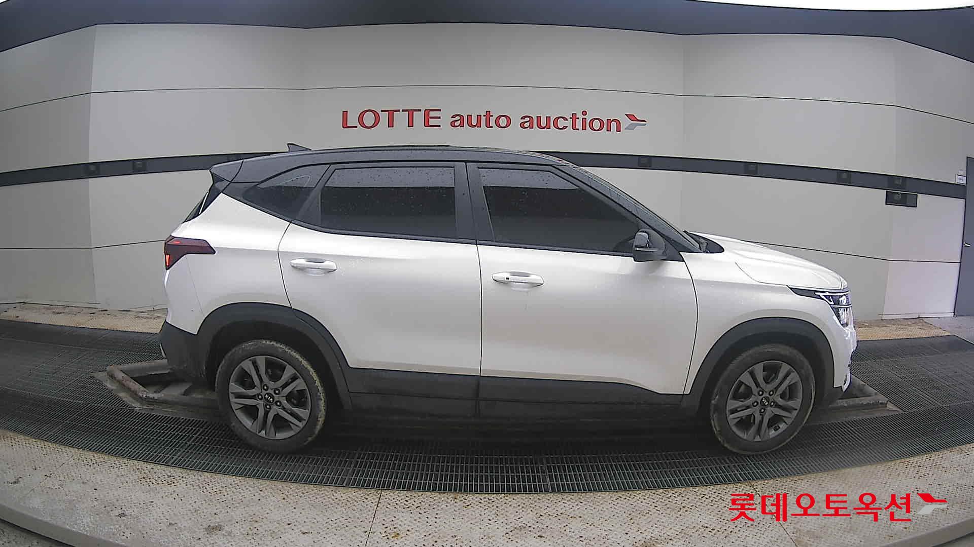 Kia Seltos 2020 Clear White из Кореи, фото 3