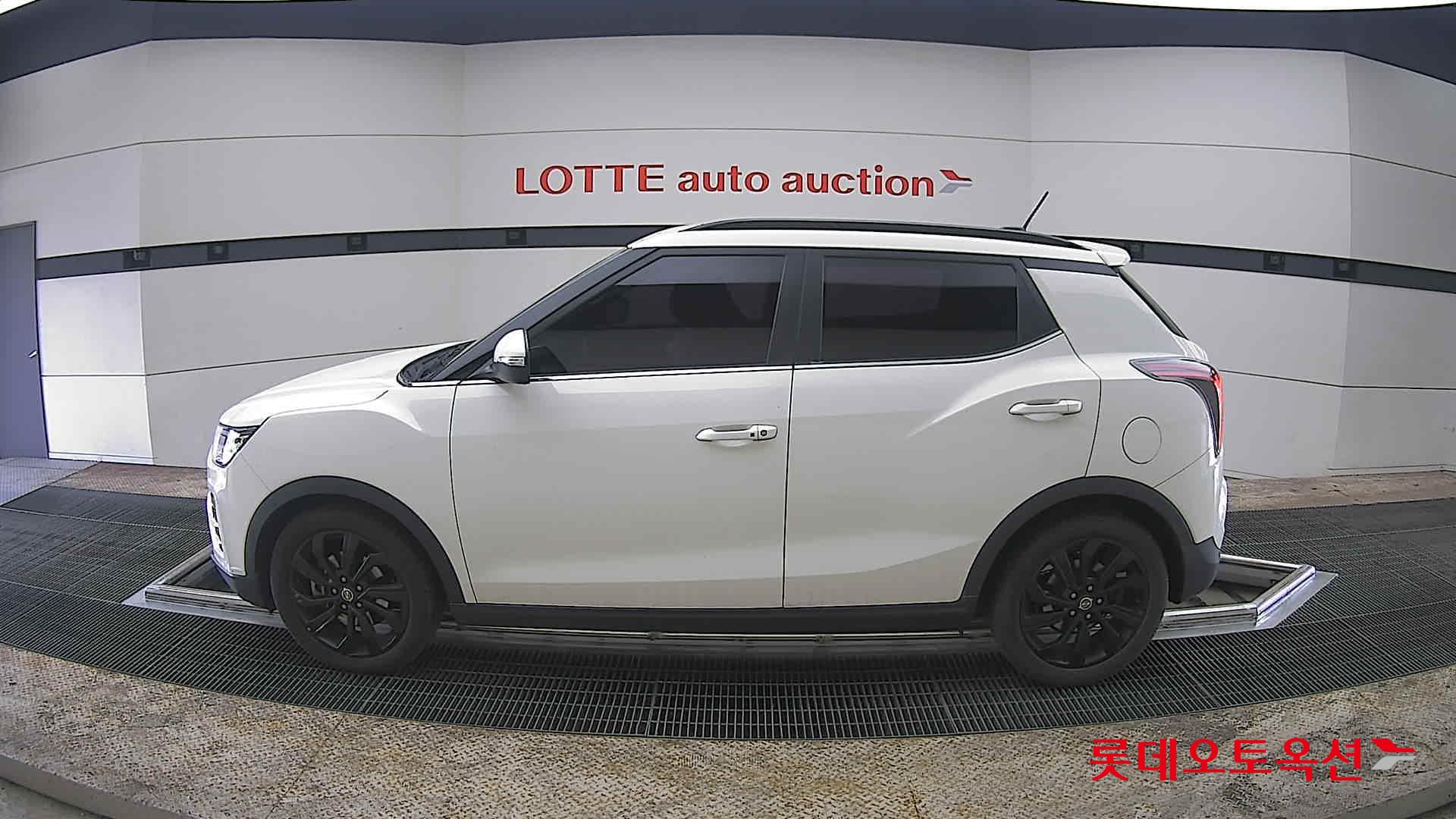 سانغ يونغ تيفولي