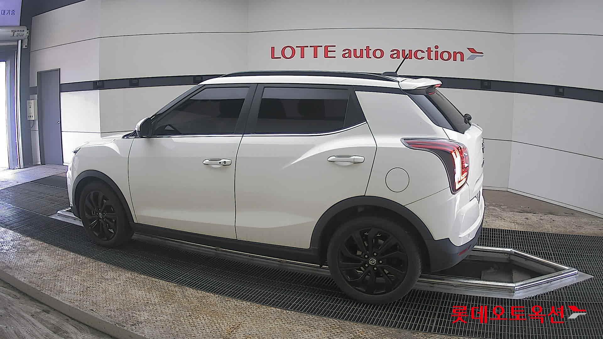 سانغ يونغ تيفولي