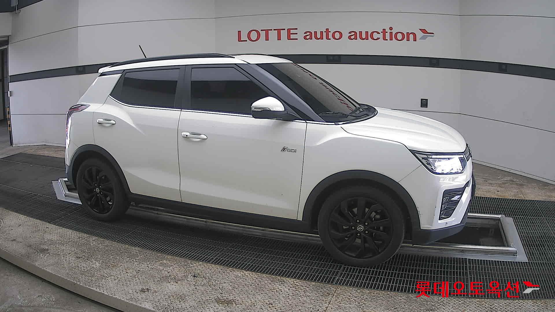 سانغ يونغ تيفولي