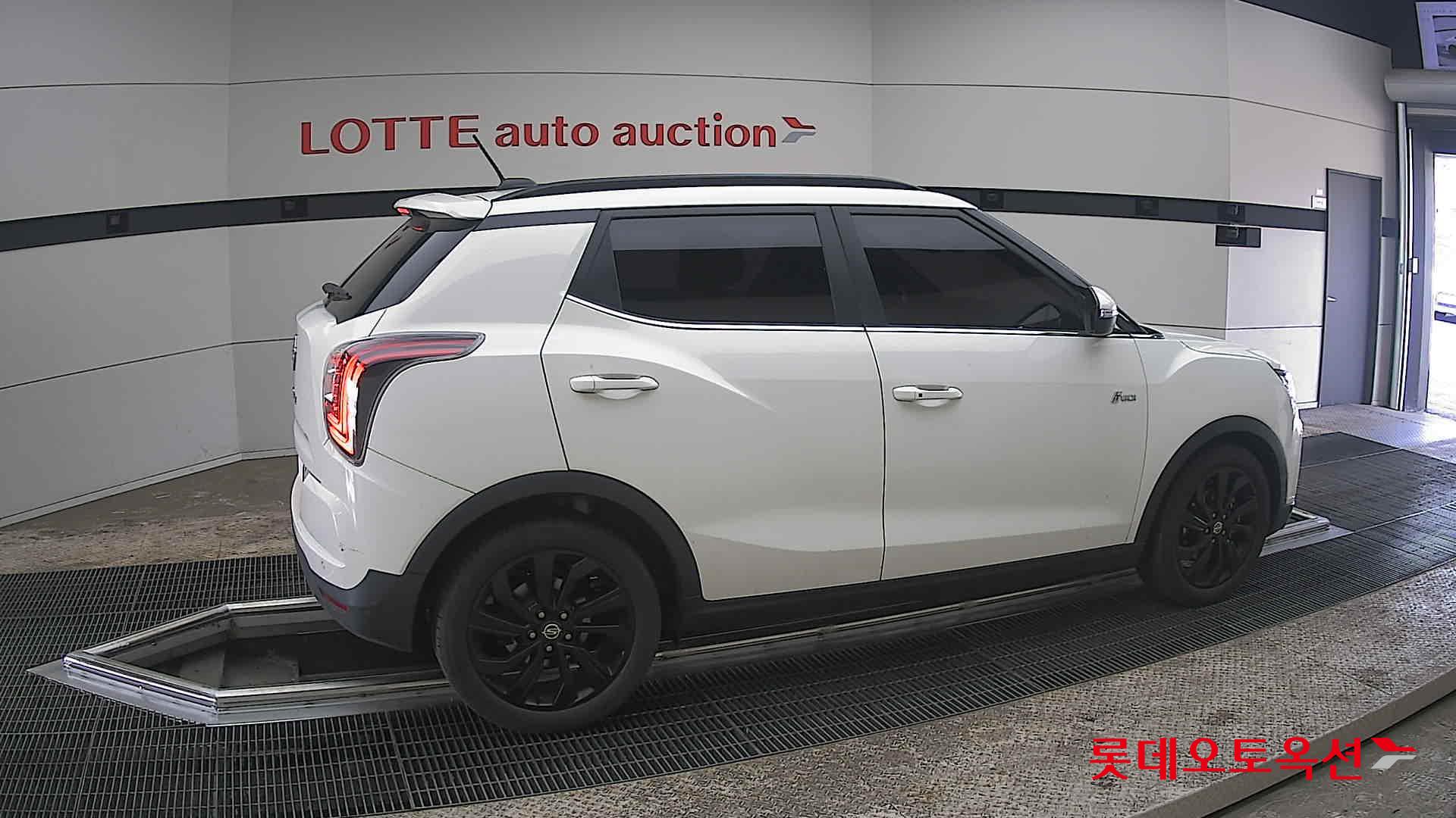 سانغ يونغ تيفولي