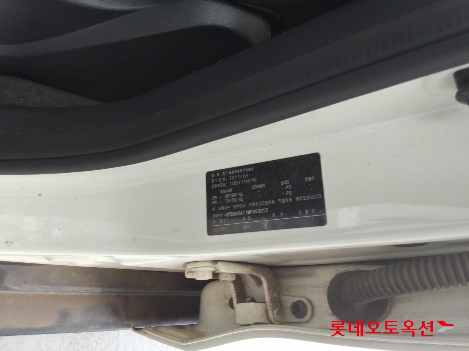 سانغ يونغ تيفولي