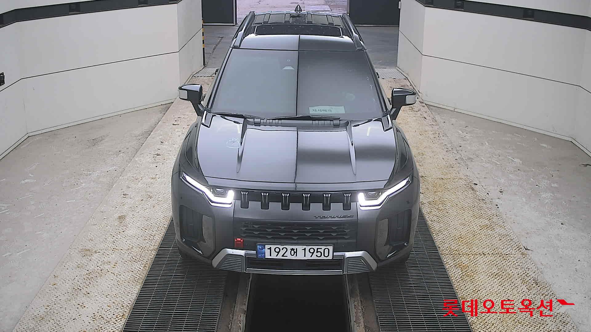 سانج يونج توريس