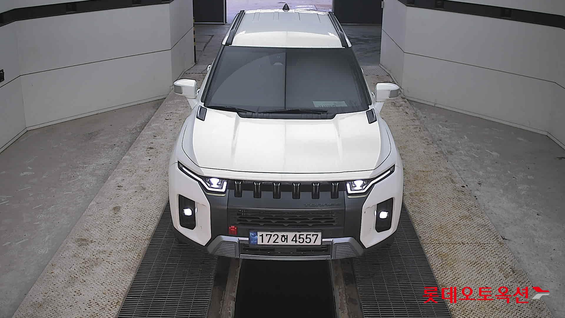 سانج يونج توريس