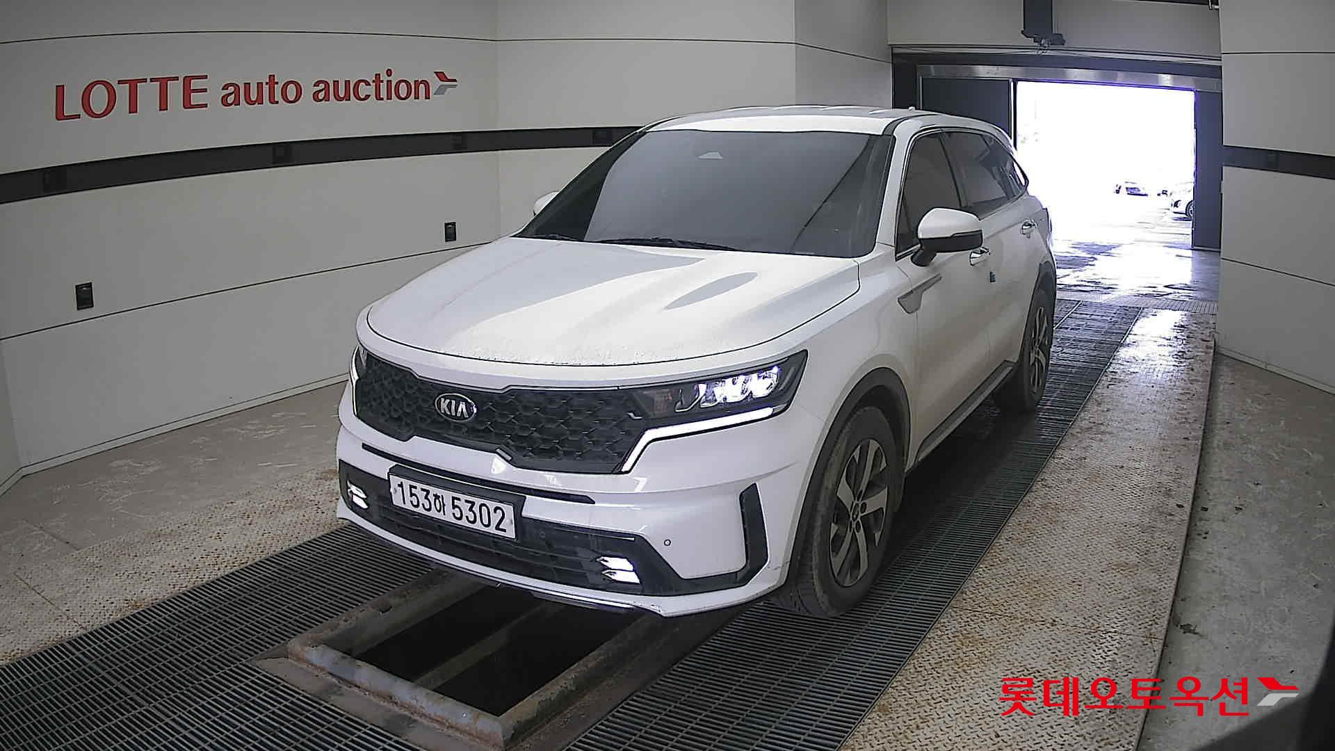 Kia Sorento 2021 Snow White Pearl (optional) из Кореи
