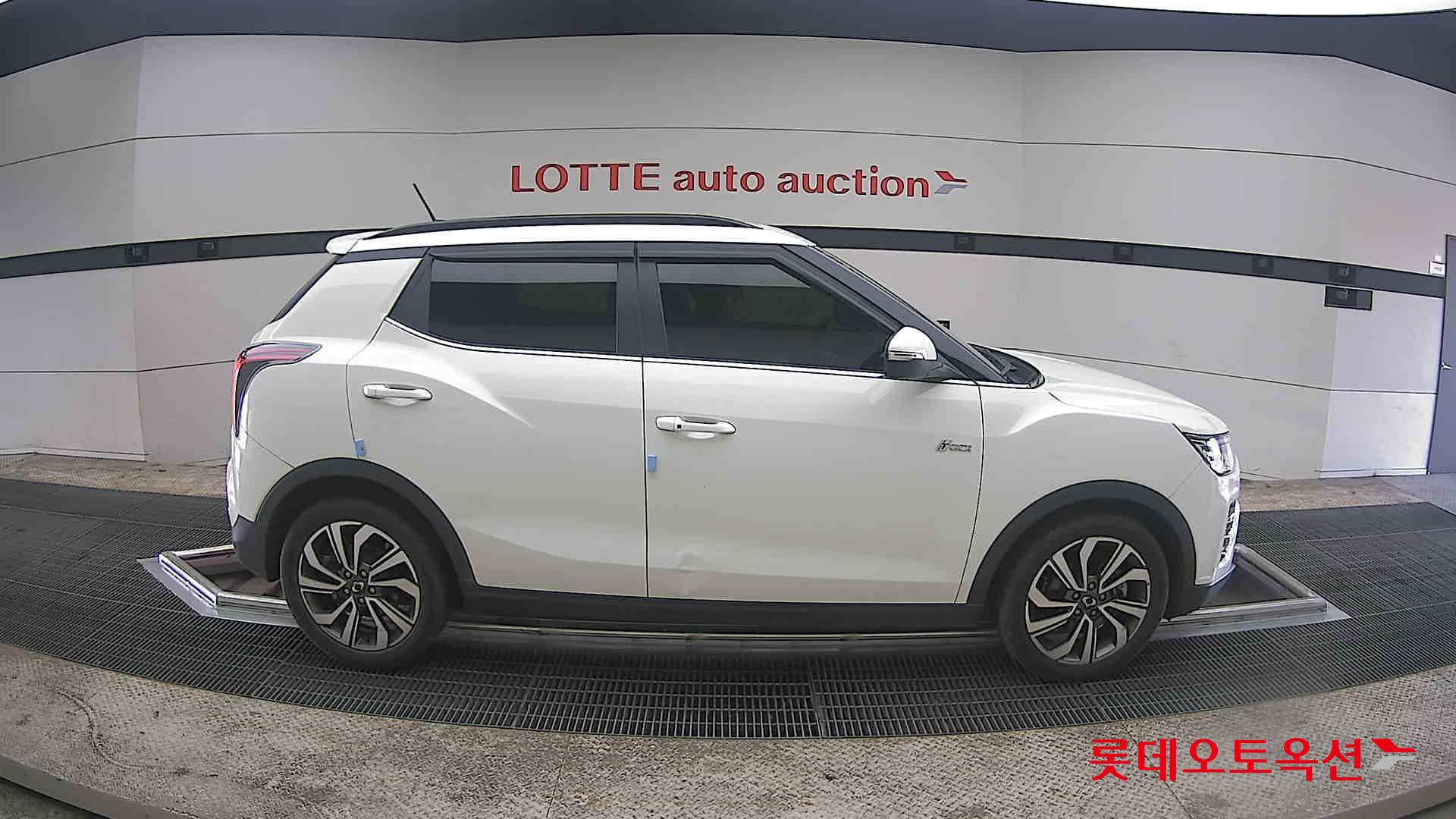 سانغ يونغ تيفولي