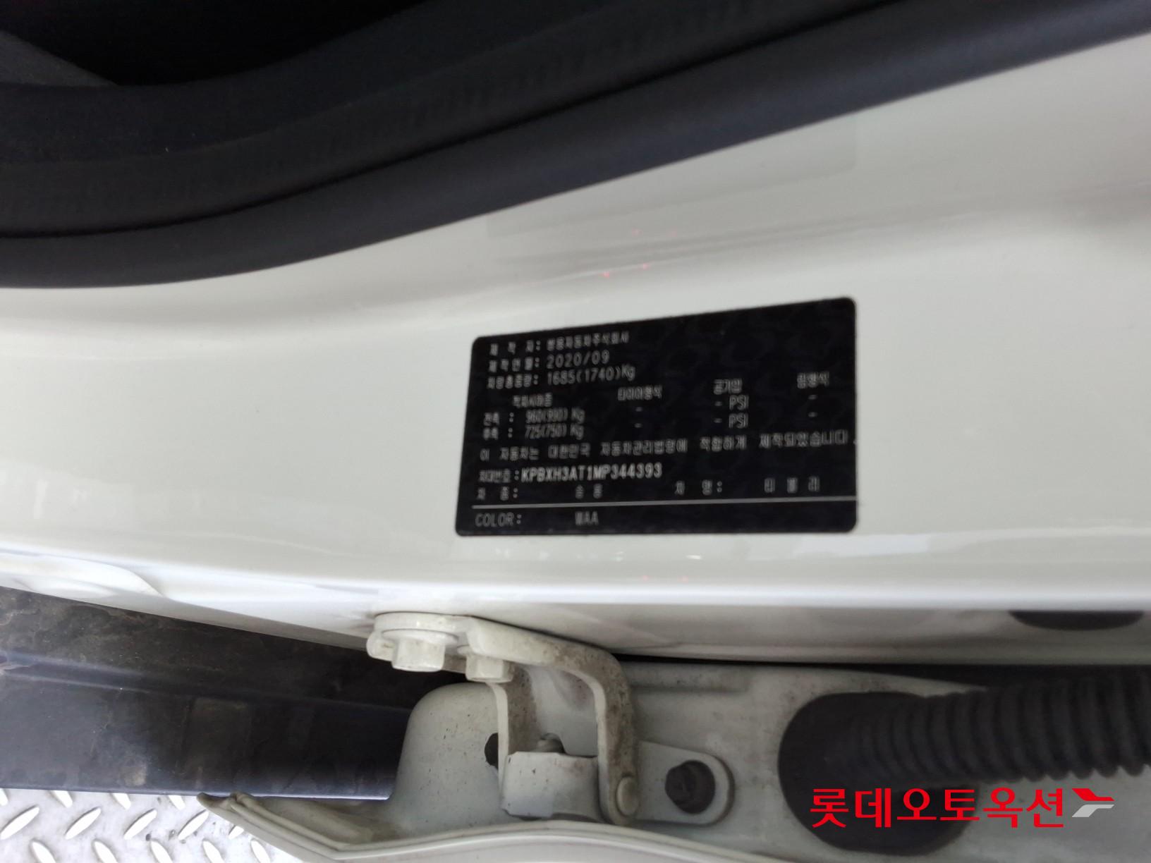 سانغ يونغ تيفولي