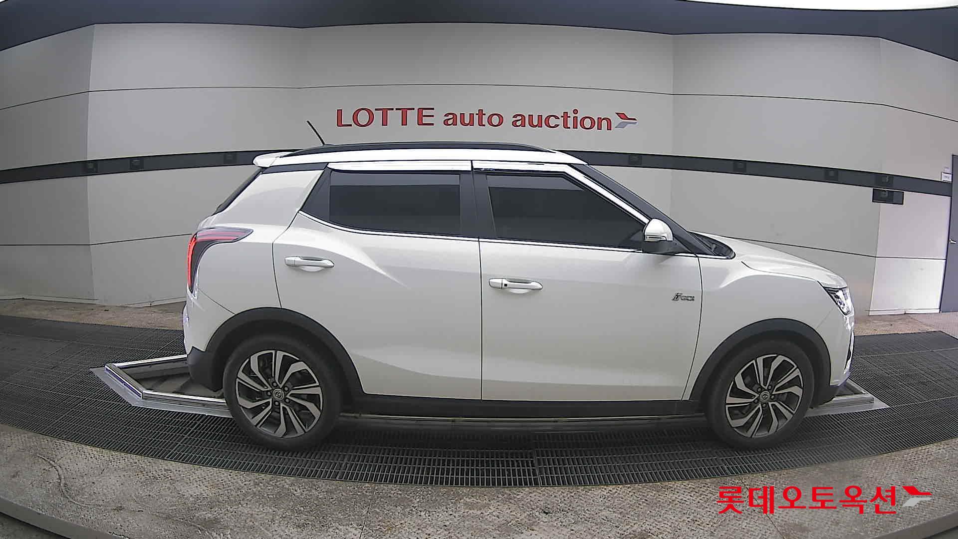 سانغ يونغ تيفولي