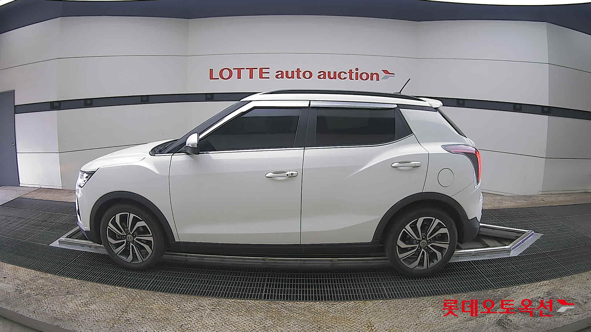 سانغ يونغ تيفولي