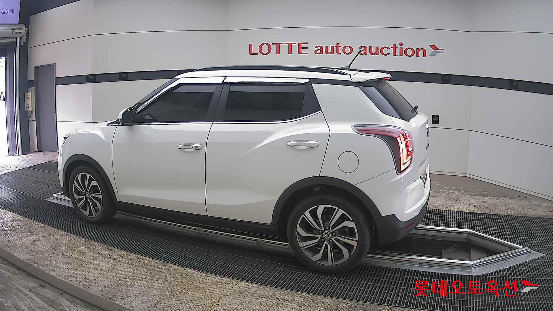 سانغ يونغ تيفولي