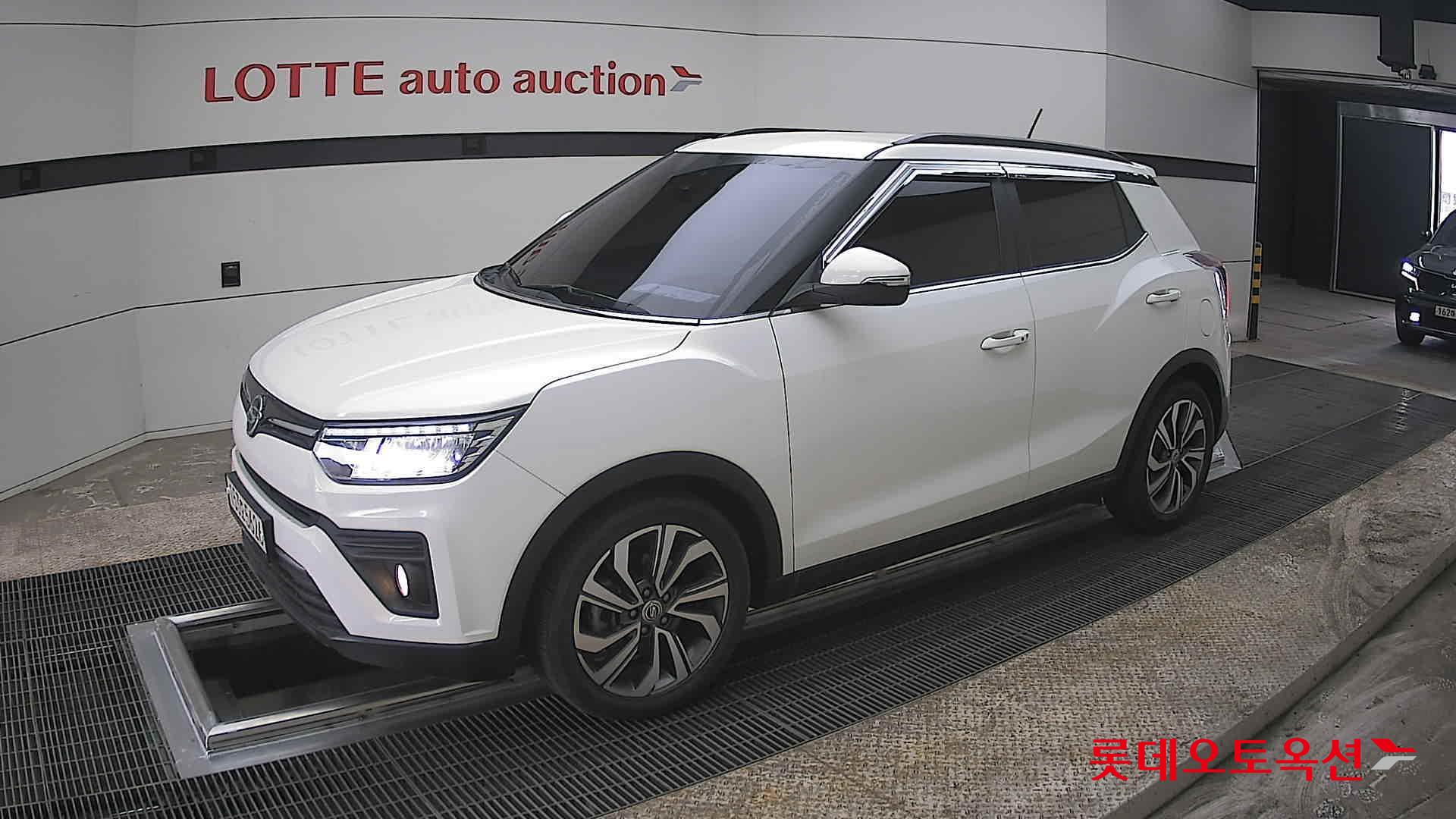 سانغ يونغ تيفولي