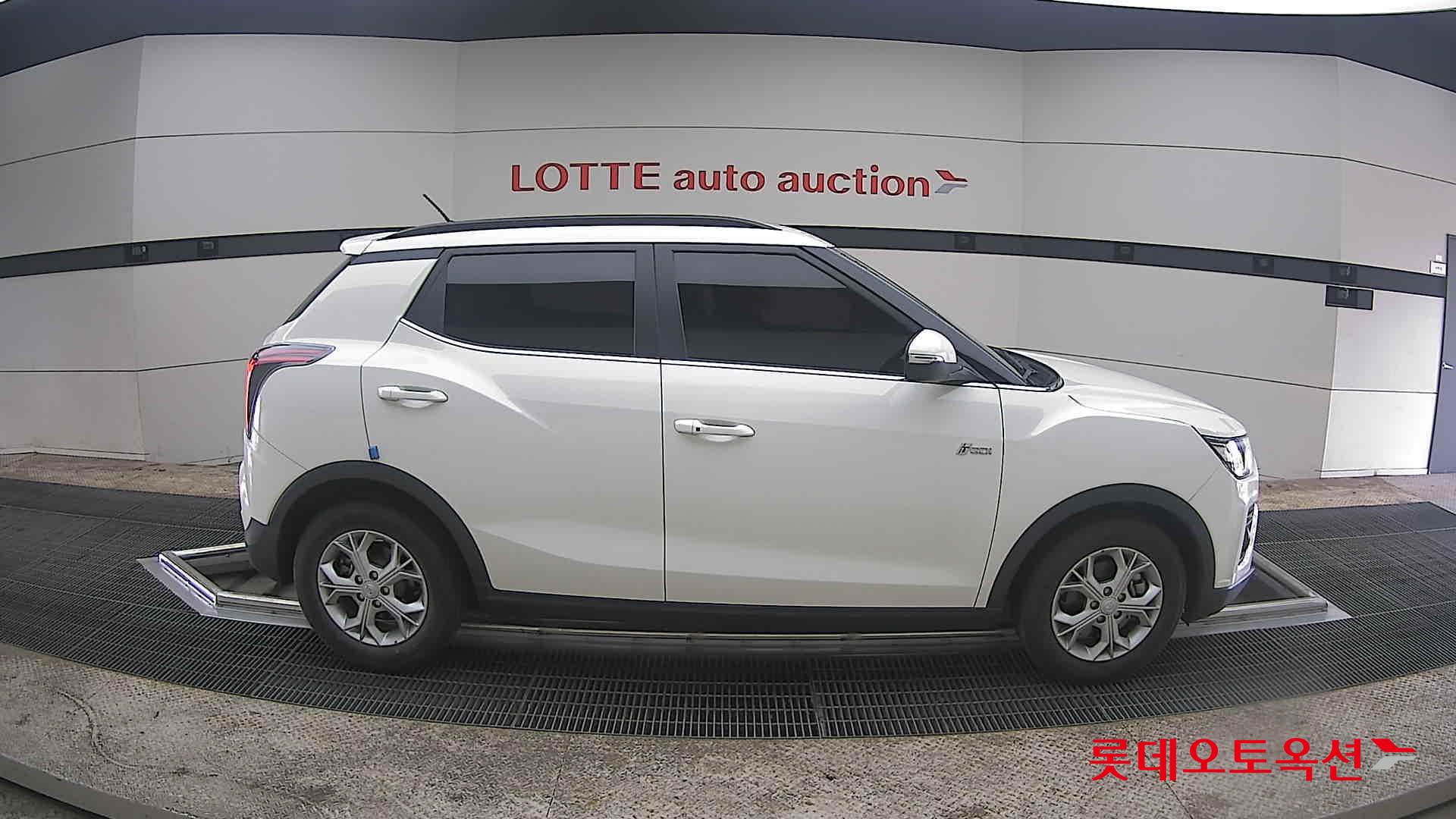 سانغ يونغ تيفولي