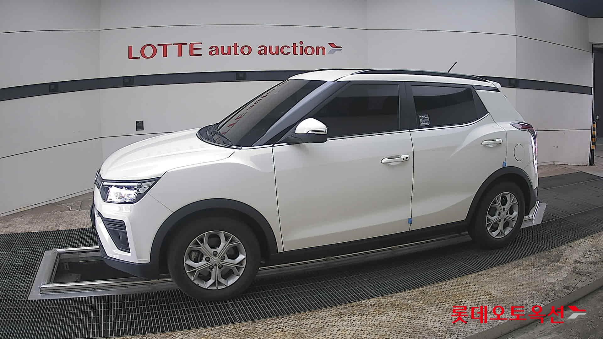 سانغ يونغ تيفولي