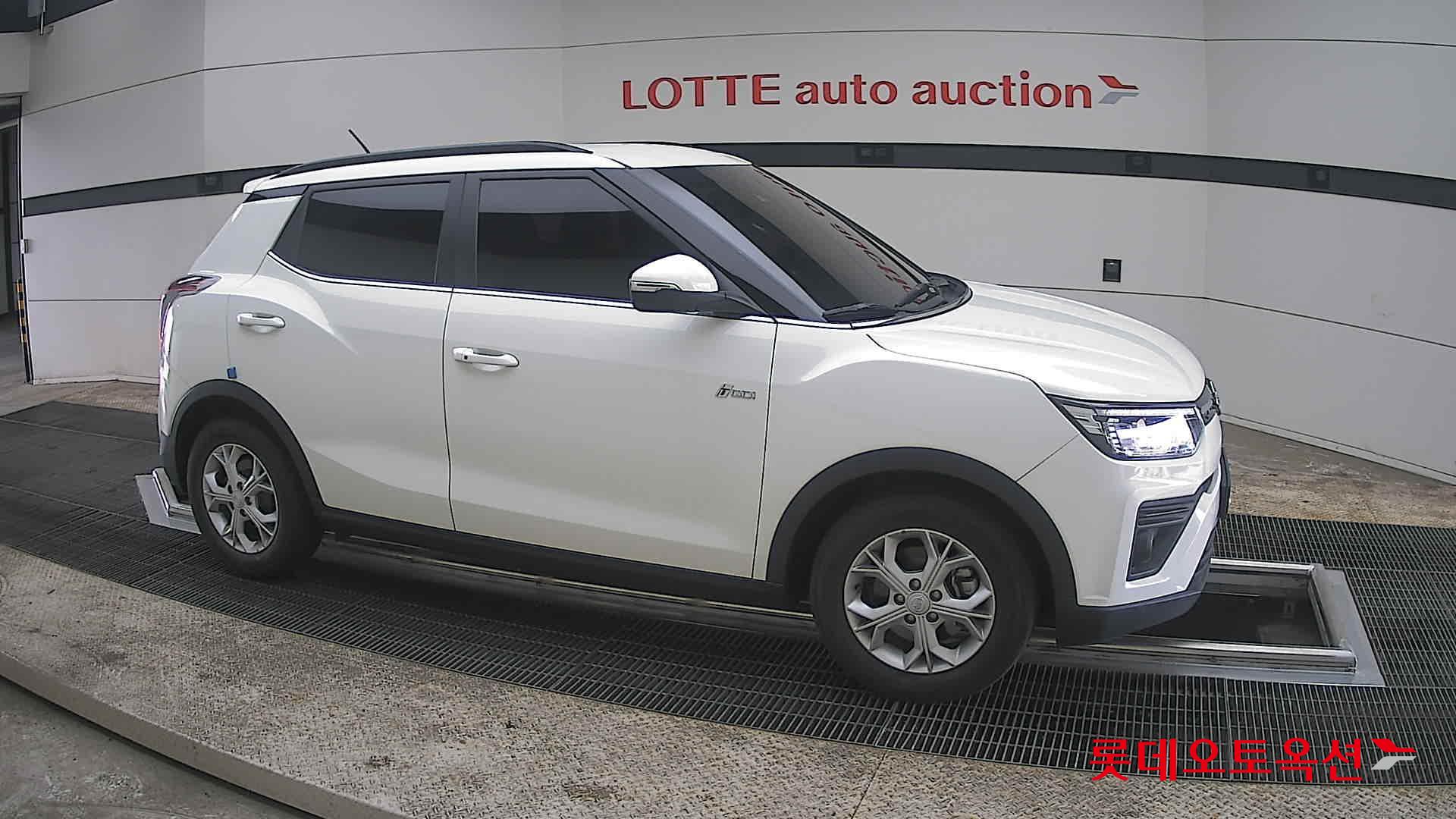 سانغ يونغ تيفولي