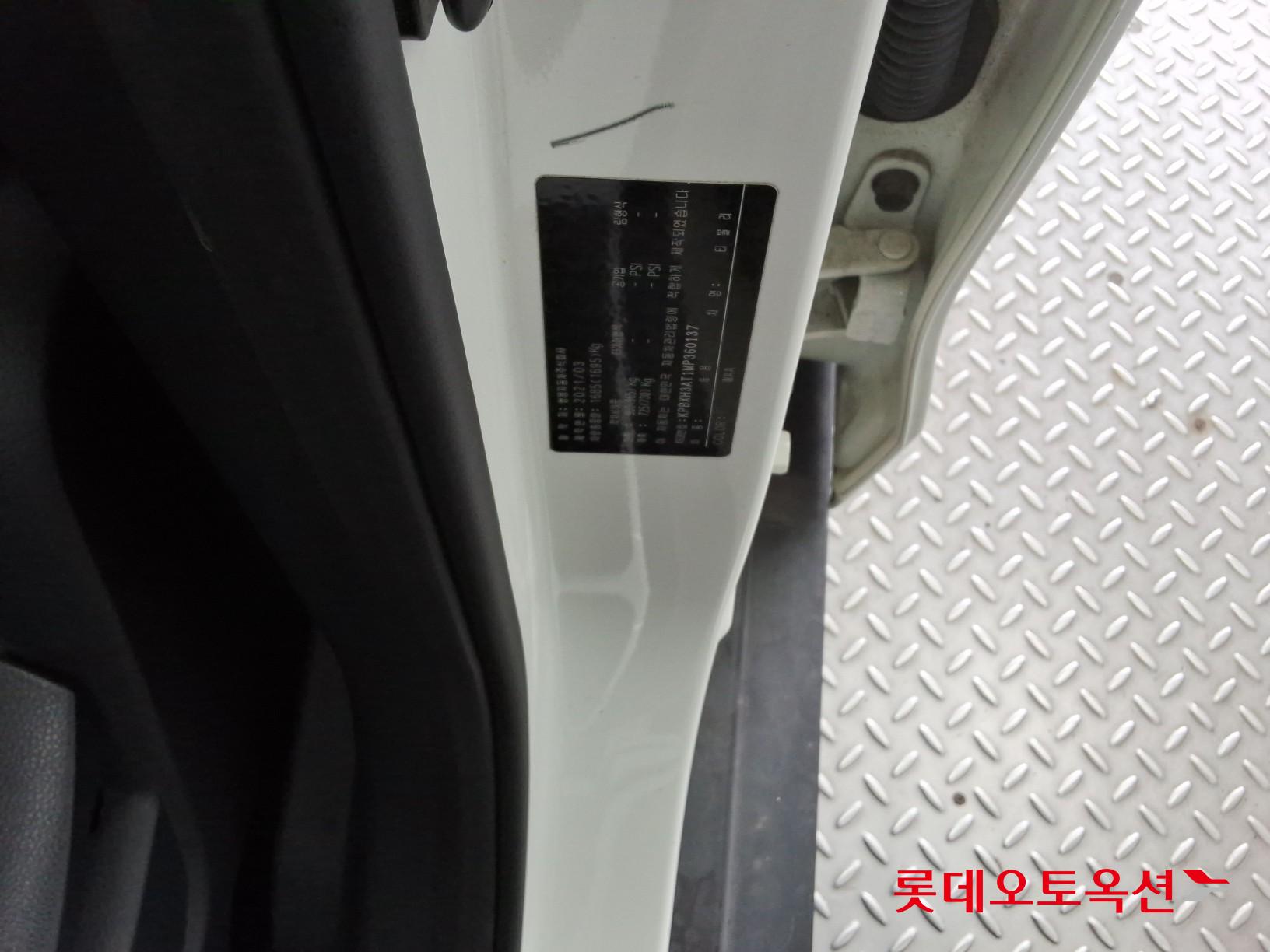 سانغ يونغ تيفولي