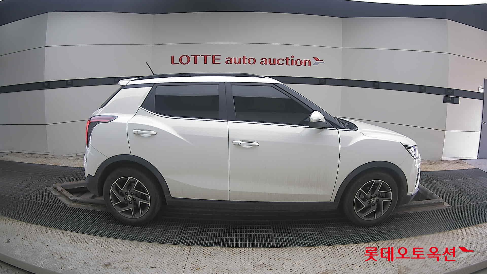 سانغ يونغ تيفولي