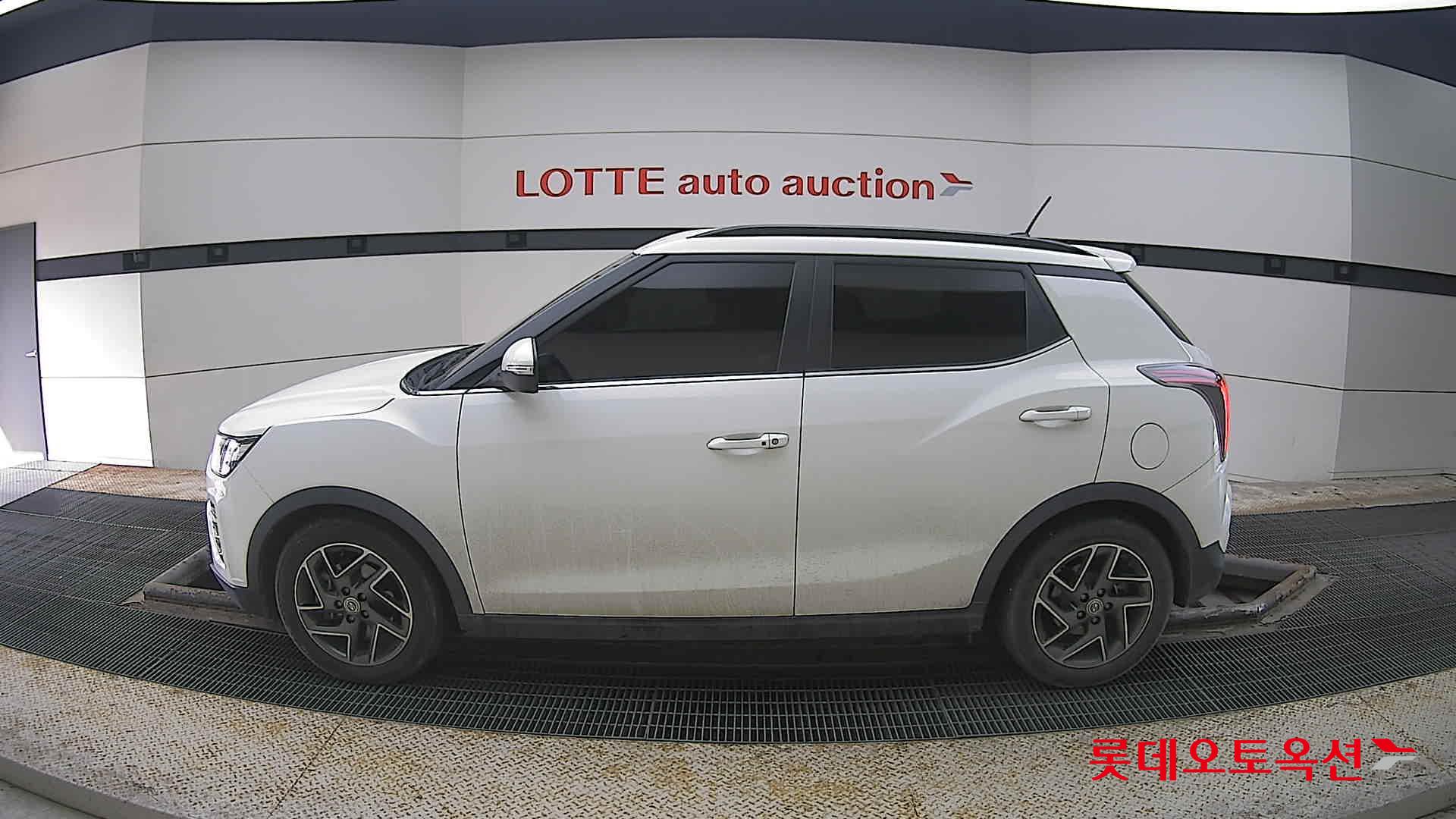 سانغ يونغ تيفولي