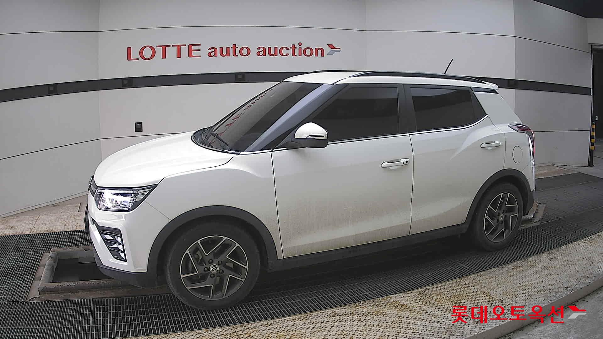 سانغ يونغ تيفولي