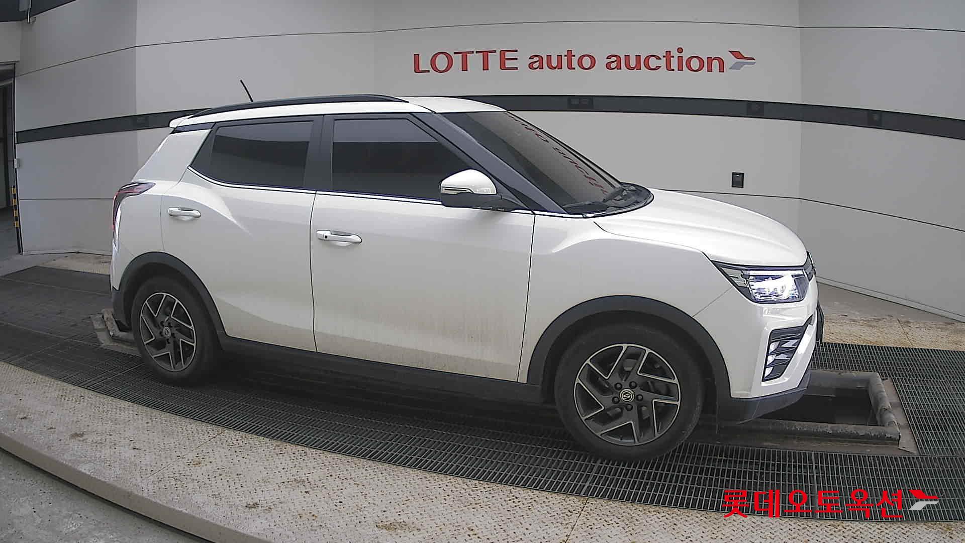 سانغ يونغ تيفولي