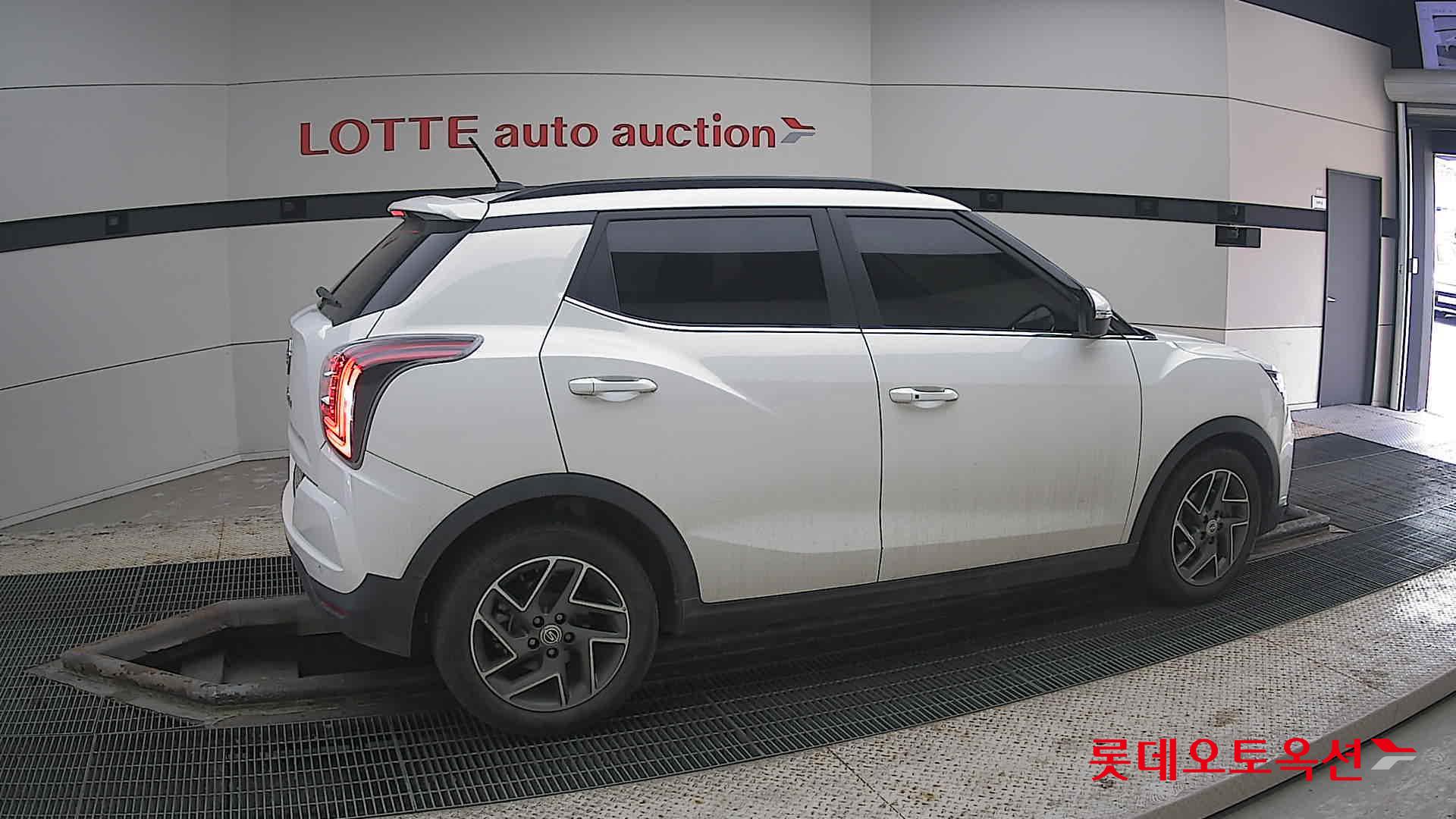 سانغ يونغ تيفولي