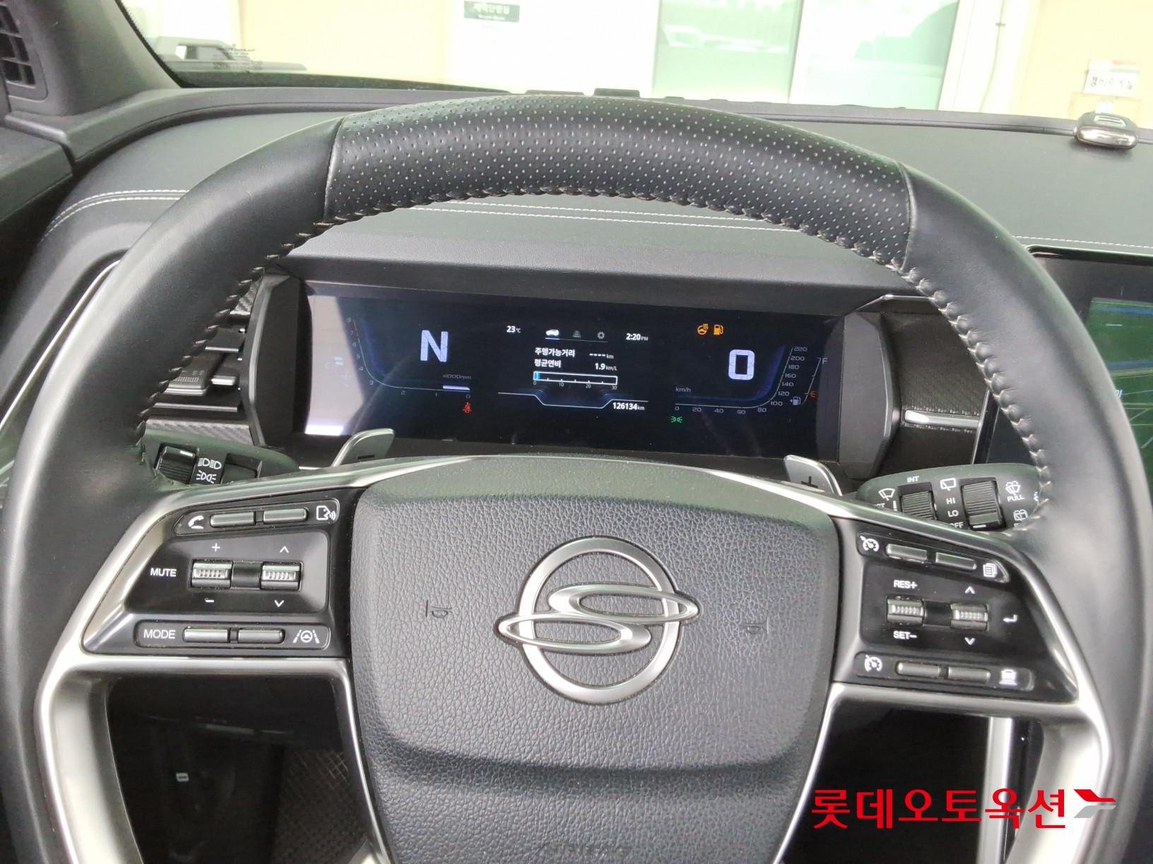 سانغ يونغ توريس