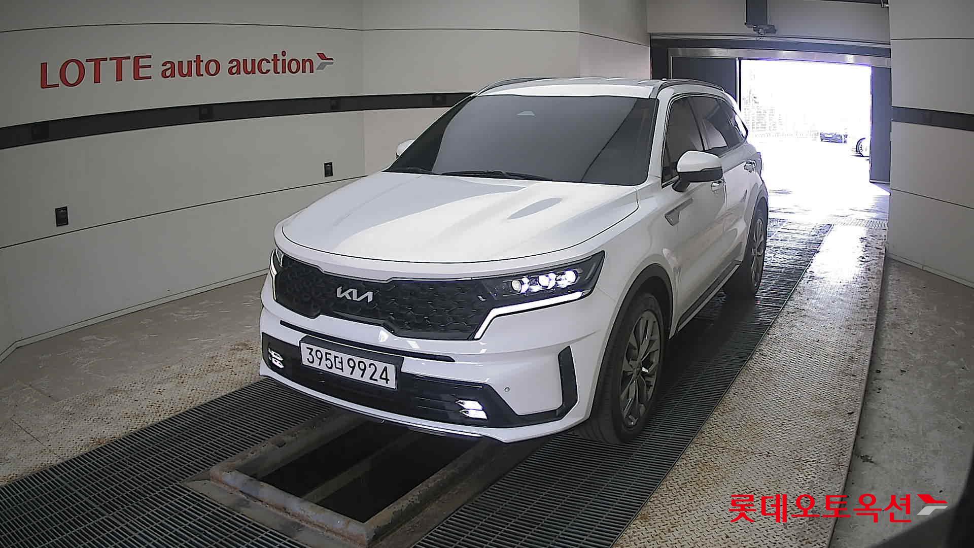 Kia Sorento 2022 Snow White Pearl (optional) из Кореи