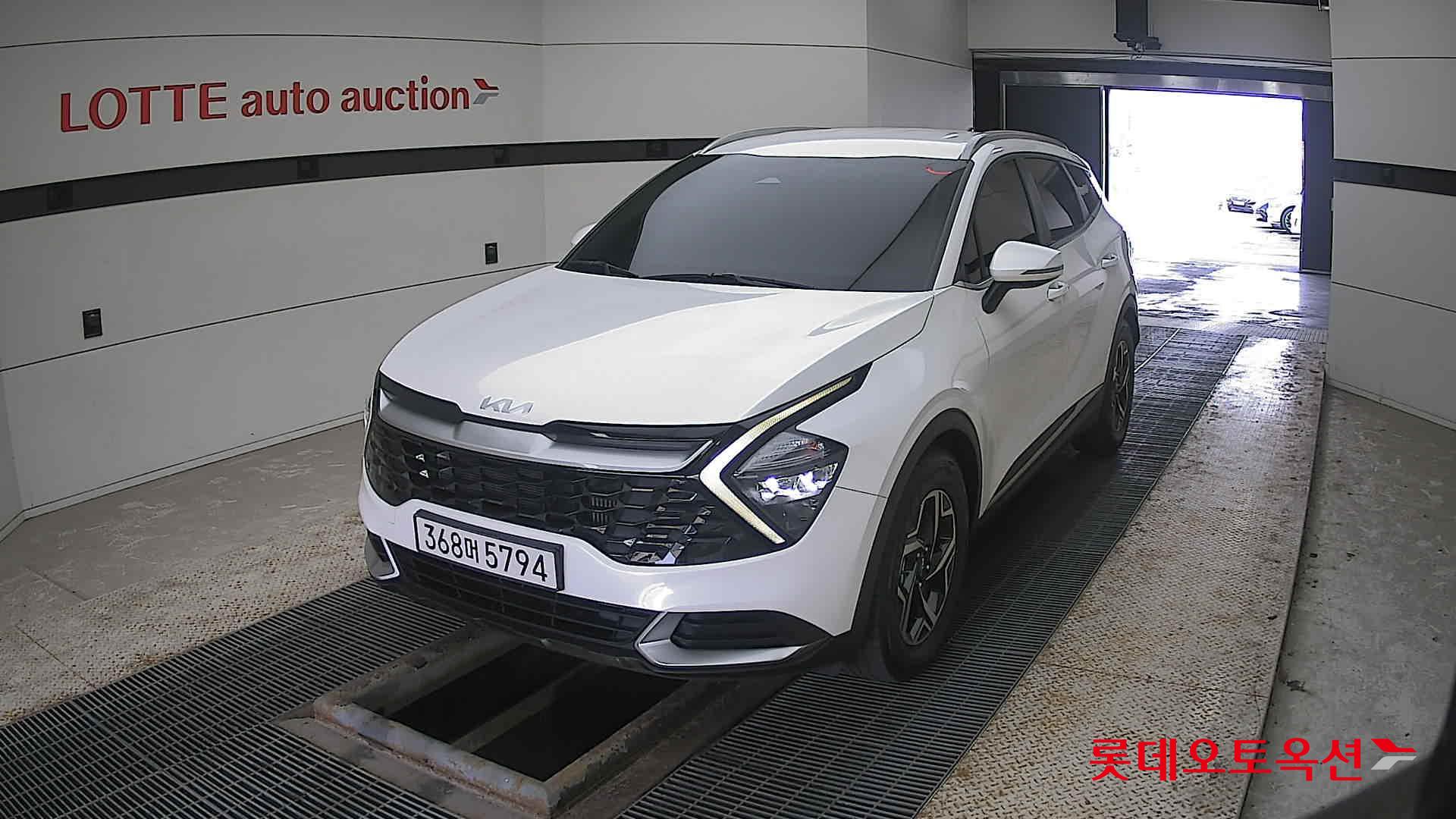 Kia Sportage 2022 Snow White Pearl (optional) из Кореи